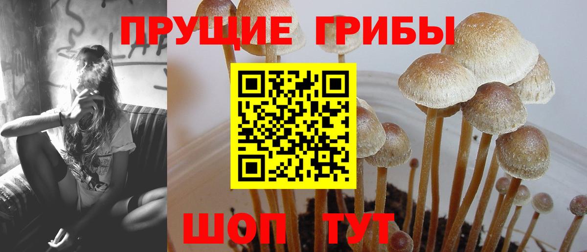 Псилоцибиновые грибы Magic Shrooms  Псилоцибиновые грибы MAGIC MUSHROOMS  Азнакаево  Вход с VPN 